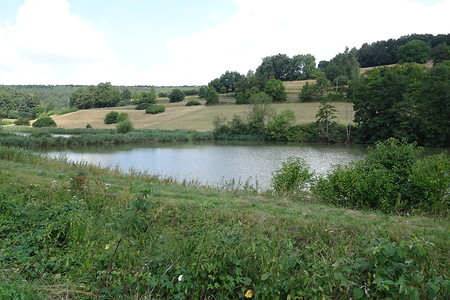 Tretzendorfer Weiher &ndash; (18.02.2019, VGN S.Daßler &copy;&nbsp;VGN GmbH)