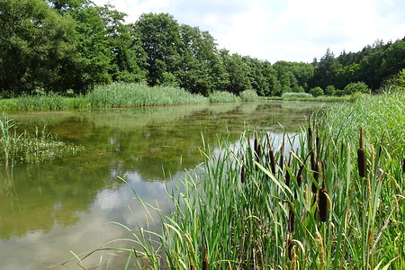 Weiherketten-Idylle &ndash; (18.02.2019, VGN S.Daßler &copy;&nbsp;VGN GmbH)