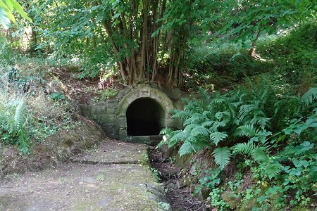 Eselsbrunnen &ndash; (18.02.2019, VGN S.Daßler &copy;&nbsp;VGN GmbH)