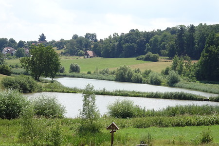 Ausblick über die Weiherkette &ndash; (18.02.2019, VGN S.Daßler &copy;&nbsp;VGN GmbH)
