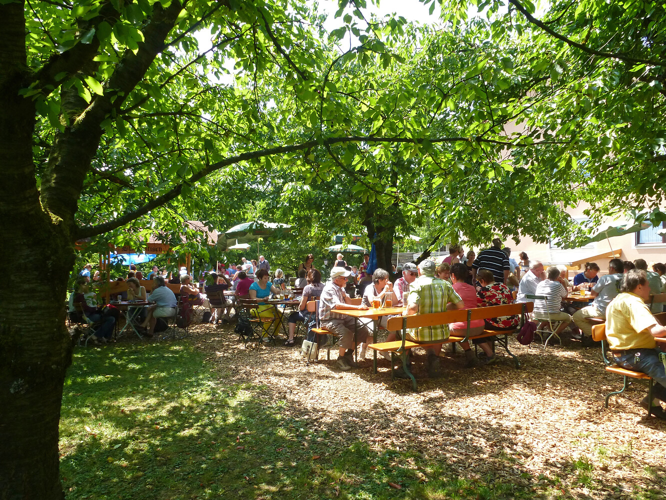 Wölfersdorfer Biergarten &ndash;  (14.07.2013, VGN &copy;&nbsp;VGN GmbH)