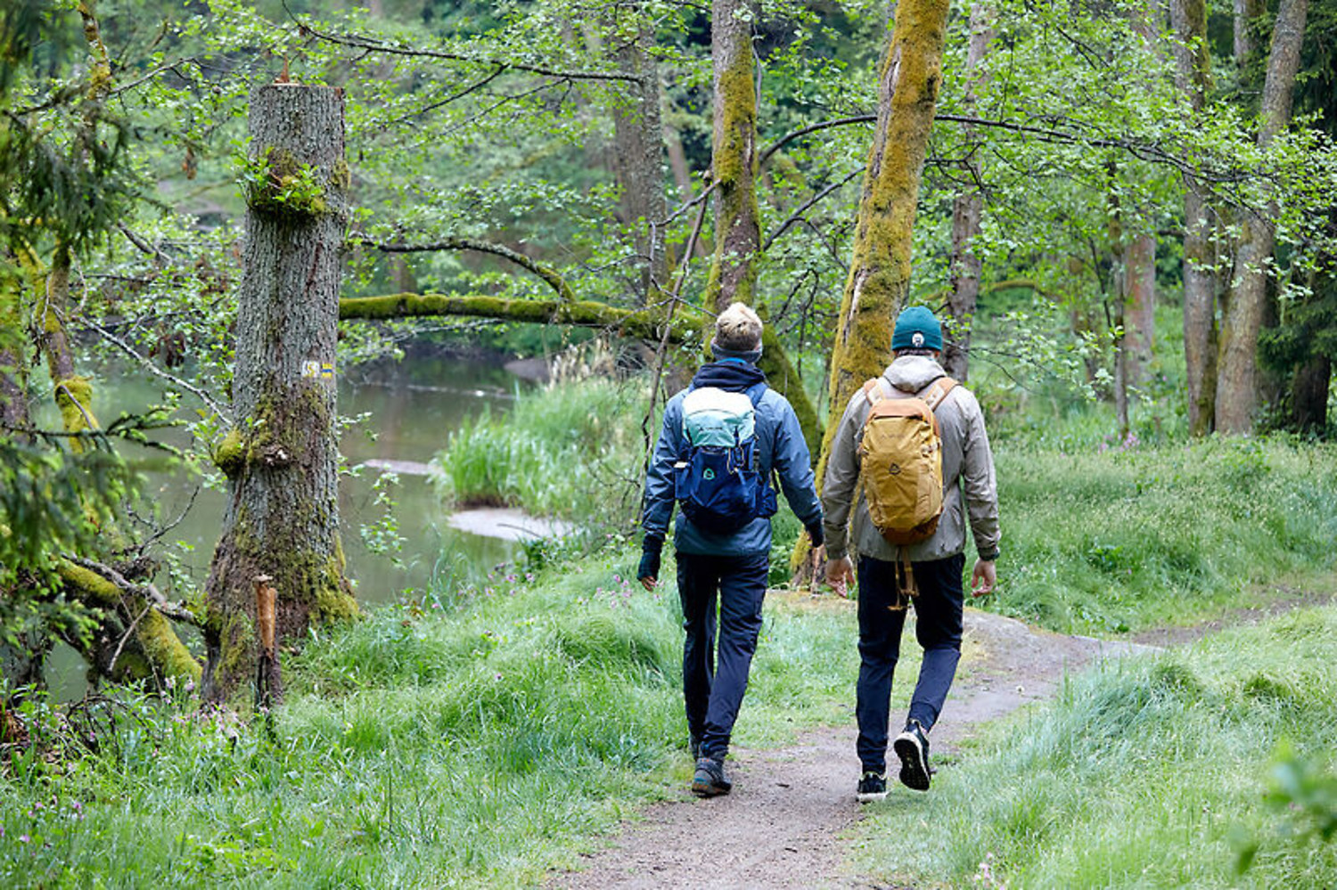 Die Ruhe des Waldnaabtals verspricht Entspannung und gute Gespräche. &ndash;  (&copy;&nbsp;VGN/A. Gaspar-Klein)