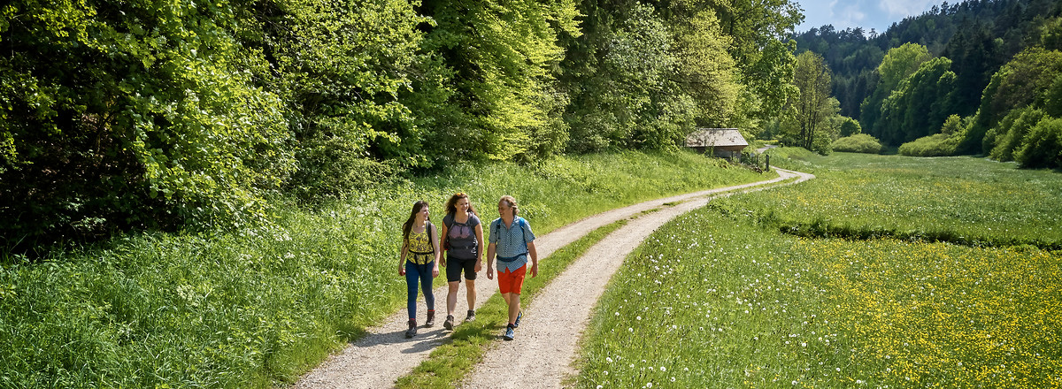 Wandern &ndash;  (25.05.2019, &copy;&nbsp;Florian Trykowski)