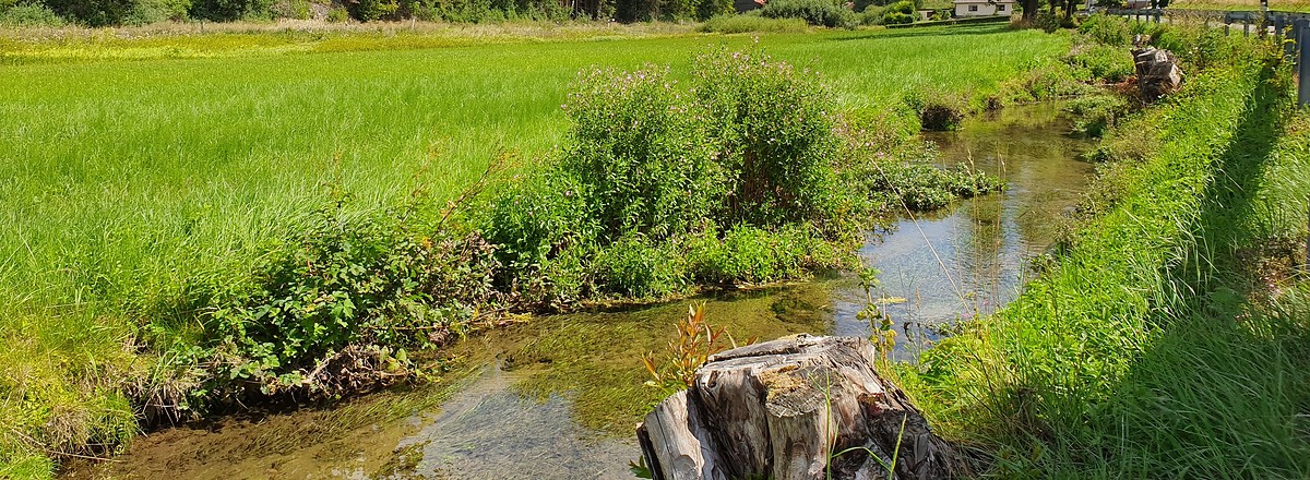 Wiesent Bachlauf &ndash;  (11.08.2019, S. Dassler &copy;&nbsp;VGN GmbH)