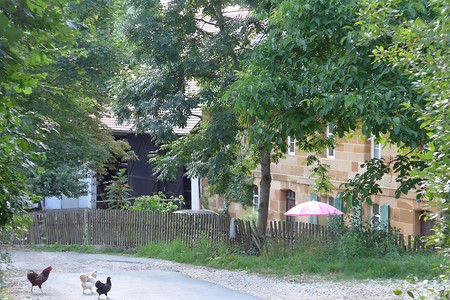 Landleben &ndash; (18.02.2019, Gertrud Härer &copy;&nbsp;Gertrud Härer)