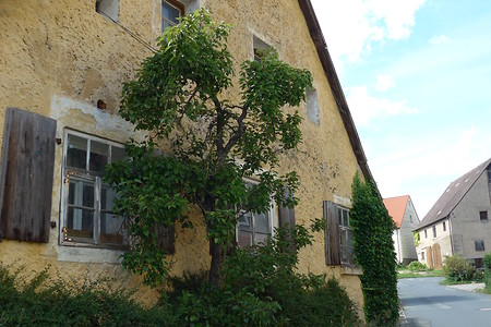 Altes Haus &ndash; (18.02.2019, Gertrud Härer &copy;&nbsp;Gertrud Härer)