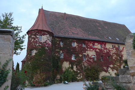 Verwachsenes Schloss &ndash; (18.02.2019, Gertrud Härer &copy;&nbsp;Gertrud Härer)