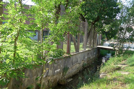 Bachlauf &ndash; (18.02.2019, Gertrud Härer &copy;&nbsp;Gertrud Härer)