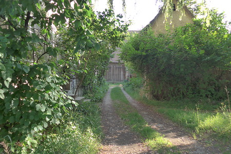 Sackgasse Hofeinfahrt &ndash; (18.02.2019, Gertrud Härer &copy;&nbsp;Gertrud Härer)