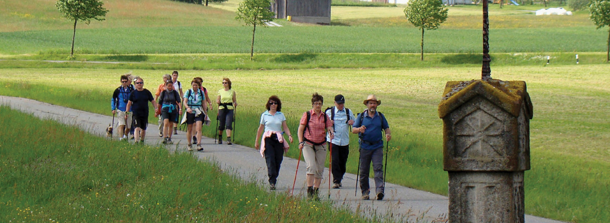 Zwischen Eckartsreuth und Kirchenpingarten &ndash;  (VGN &copy;&nbsp;VGN GmbH)