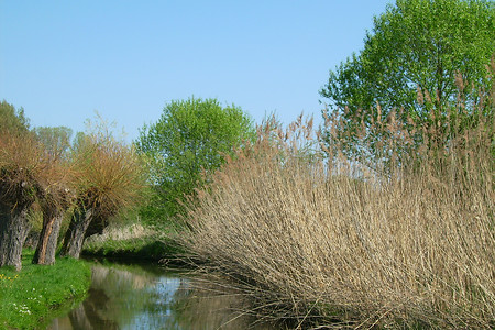 Zwischen Steinbach und Kleinsendelbach &ndash; (VGN &copy;&nbsp;VGN GmbH)