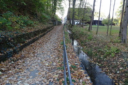 Radweg herbstlich &ndash; (20.10.2018, S. Dassler &copy;&nbsp;VGN GmbH)