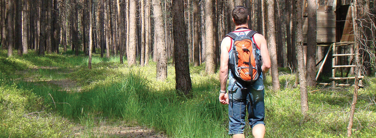 Im Wald vor Lindenhardt &ndash;  (VGN &copy;&nbsp;VGN GmbH)