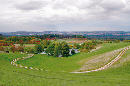 Tour 1: Panorama im Naturschutzgebiet Tennenloher Forst &ndash; (VGN &copy;&nbsp;VGN GmbH)