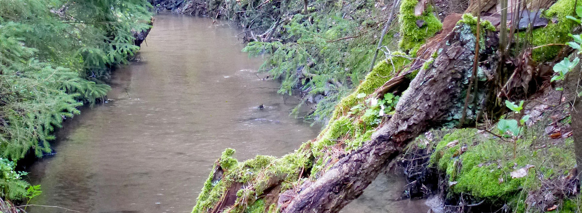 Finsterbach &ndash;  (28.04.2013, VGN &copy;&nbsp;VGN GmbH)