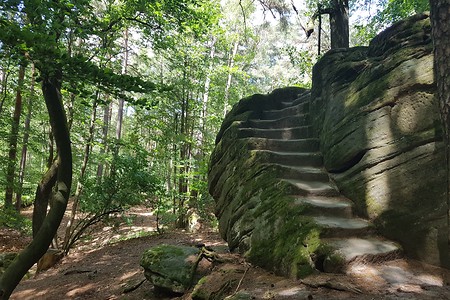 Felsenlabyrinth &ndash; (15.06.2019, S. Dassler &copy;&nbsp;VGN GmbH)