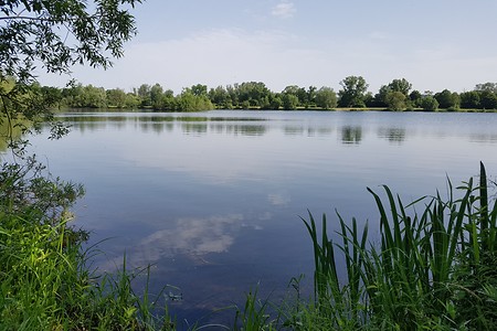 Rudufersee &ndash; (15.06.2019, S. Dassler &copy;&nbsp;VGN GmbH)