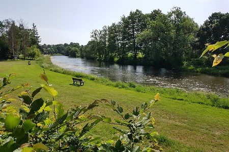 Main in Schwürbitz &ndash; (15.06.2019, S. Dassler &copy;&nbsp;VGN GmbH)