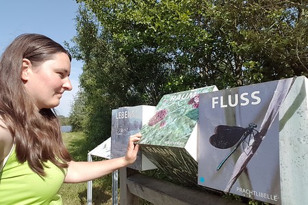 LIFE-Natur-Projekt &ndash; (15.06.2019, S. Dassler &copy;&nbsp;VGN GmbH)