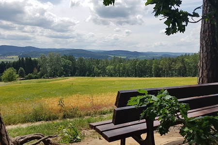 Ausblick nach Burgkunstadt &ndash; (15.06.2019, S. Dassler &copy;&nbsp;VGN GmbH)