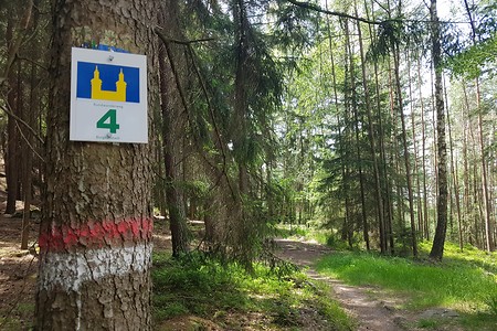 Wegweiser durch den Wald &ndash; (15.06.2019, S. Dassler &copy;&nbsp;VGN GmbH)