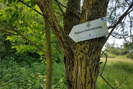 Naturerlebnisweg &ndash; (15.06.2019, S. Dassler &copy;&nbsp;VGN GmbH)