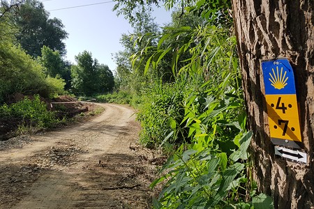 Wanderweg &ndash; (15.06.2019, S. Dassler &copy;&nbsp;VGN GmbH)