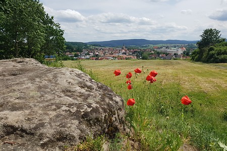 Letztes Stück nach Burgkunstadt &ndash; (15.06.2019, S. Dassler &copy;&nbsp;VGN GmbH)