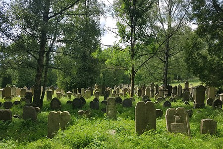Jüdischer Friedhof &ndash; (15.06.2019, S. Dassler &copy;&nbsp;VGN GmbH)