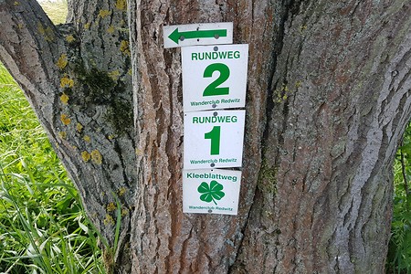 Wegweiser am Baum &ndash; (15.06.2019, S. Dassler &copy;&nbsp;VGN GmbH)