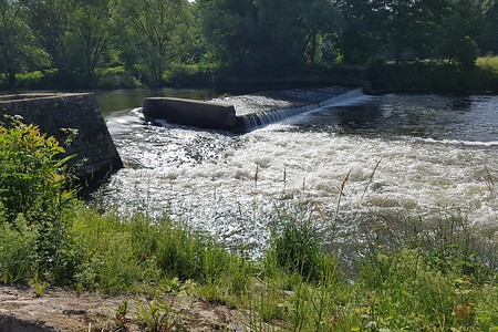 Mainwehr &ndash; (15.06.2019, S. Dassler &copy;&nbsp;VGN GmbH)