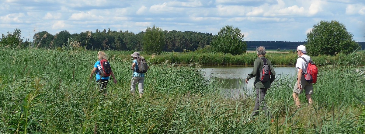 Wanderer durch die Weiherketten &ndash;  (18.02.2019, Gertrud Härer &copy;&nbsp;Gertrud Härer)