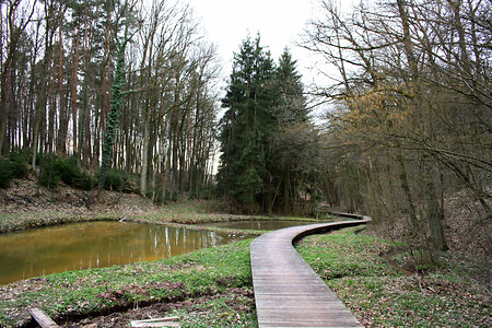 Steg &ndash; (30.03.2010, up3 &copy;&nbsp;up3)