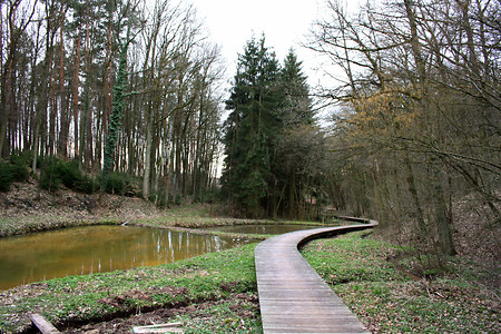 Steg &ndash; (30.03.2010, up3 &copy;&nbsp;up3)