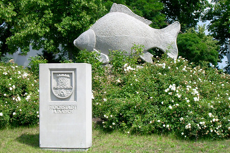 Fridolin, der steinerne Karpfen &ndash; (26.06.2005, VGN &copy;&nbsp;VGN GmbH)