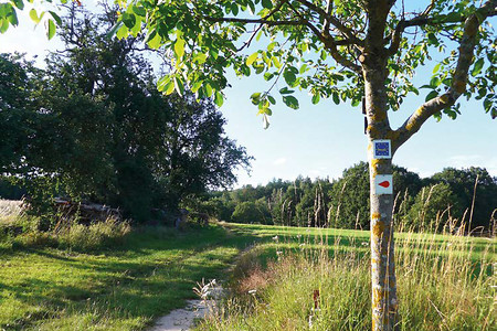 Wegführung &ndash; (15.09.2020, G. Härer &copy;&nbsp;VGN GmbH)