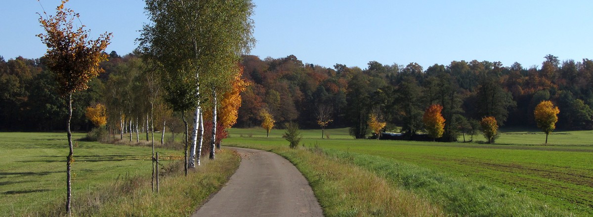 Vehlberg_Weinberg &ndash;  (19.02.2019, R. Rück &copy;&nbsp;schreibwerk)
