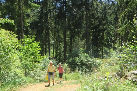 Aufstieg zur Zant &ndash; (08.07.2018, VGN &copy;&nbsp;VGN GmbH)