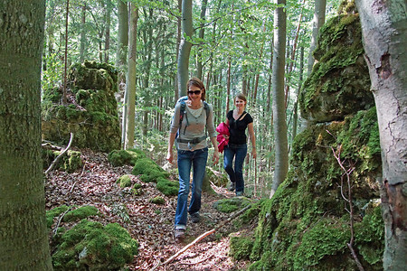 Kurz vor Etzelwang &ndash; (VGN &copy;&nbsp;VGN GmbH)