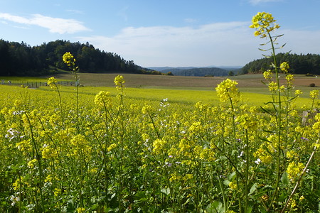 Einfach schön &ndash; (03.10.2015, VGN &copy;&nbsp;VGN GmbH)