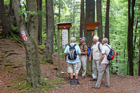 Wandertafeln am Ossinger-Gipfel &ndash; (VGN &copy;&nbsp;VGN GmbH)