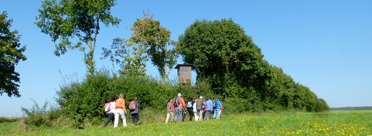 Wiesenweg nach Gutenstetten &ndash;  (28.09.2013, VGN &copy;&nbsp;VGN GmbH)