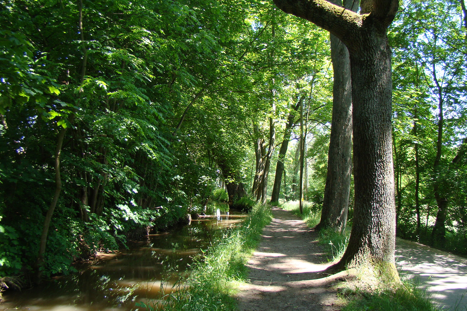 Allee &ndash;  (04.02.2016, VGN &copy;&nbsp;VGN GmbH)