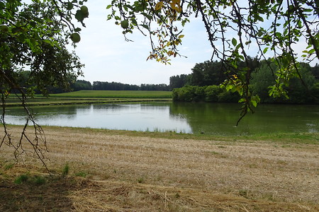Weiherblick &ndash; (20.07.2018, VGN S.Daßler &copy;&nbsp;VGN GmbH)