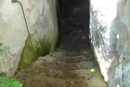 Kellereingang &ndash; (18.02.2019, Gertrud Härer &copy;&nbsp;Gertrud Härer)