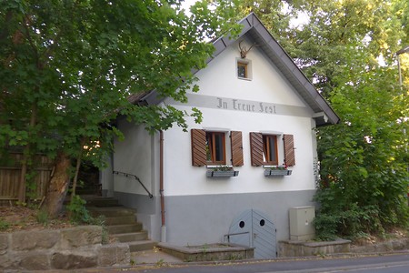 Keller &ndash; (18.02.2019, Gertrud Härer &copy;&nbsp;Gertrud Härer)