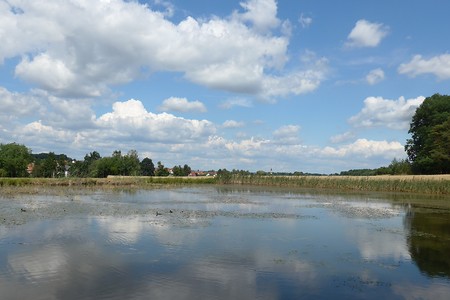 Wolkenspiegelung &ndash; (18.02.2019, Gertrud Härer &copy;&nbsp;Gertrud Härer)