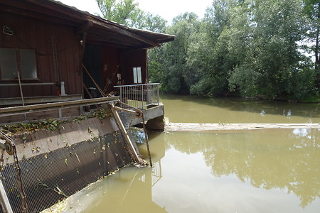 Stauwehr Höchstadt &ndash; (20.07.2018, VGN S.Daßler &copy;&nbsp;VGN GmbH)