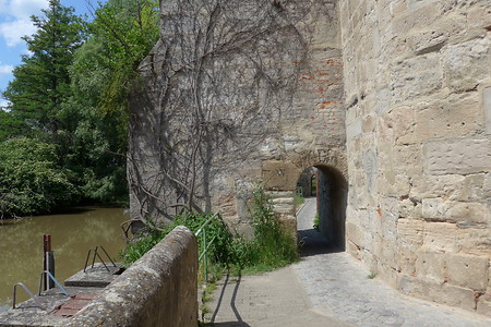 Höchstadt am Schloss &ndash; (18.02.2019, Gertrud Härer &copy;&nbsp;Gertrud Härer)