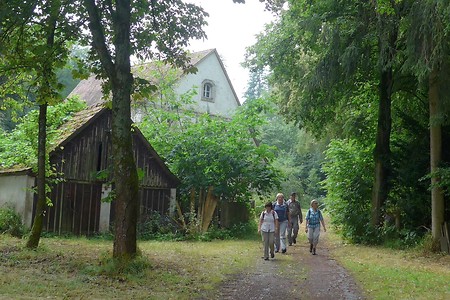 Tanzenhaid &ndash; (18.02.2019, Gertrud Härer &copy;&nbsp;Gertrud Härer)